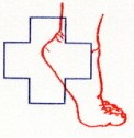 shapeimage_3